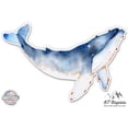 thumbnail image 1 of Whale Watercolor Beautiful - 12" Vinyl Sticker Waterproof Decal, 1 of 1