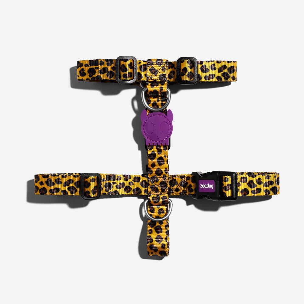 Honey | H-Harness