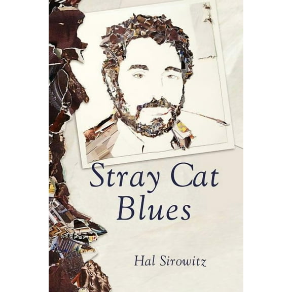Stray Cat Blues, (Paperback)