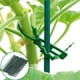 thumbnail image 4 of Bridas Para Cables, Bridas De Plástico Autoblocantes, Bridas De Jardín Multiusos Para Plantas, Vides Y Vegetales 50 Uds. Inevent HA036647-00, 4 of 6