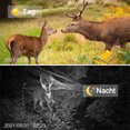 thumbnail image 5 of Trail Camera, Hunting Camera with Wide-Angle Motion Latest Sensor View Trigger Time Trail Game Camera with No Glow andWaterproof for Wildlife Monitoring, 5 of 5