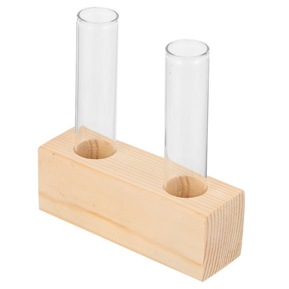 2 PCS Test Tube Vase Transparent Propagation Plant Terrarium Cactus Plants Household Hydroponic Office