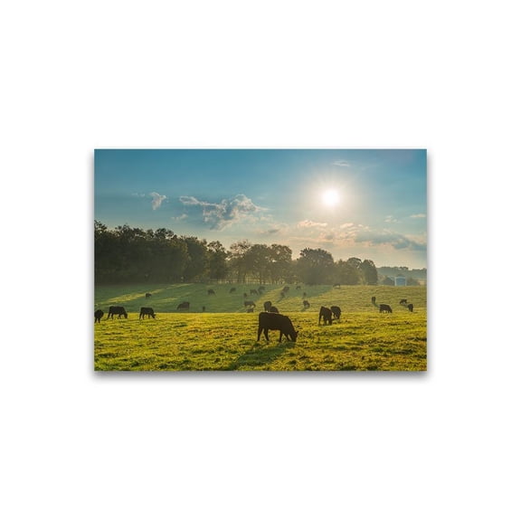 Beautiful Scenery Grazing Cows Poster -Image by Shutterstock
