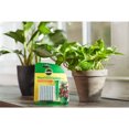 thumbnail image 6 of Miracle Gro Indoor Plant Food Spikes Fertilizer Continuous Feeding 24 Count, 6-Pack, 6 of 8