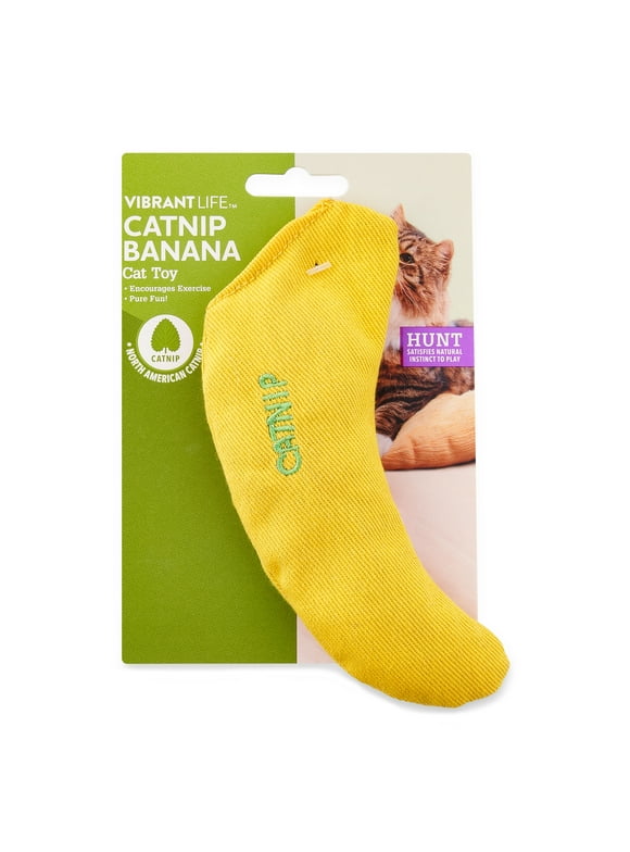 Catnip Cat Toys in Cat Toys
