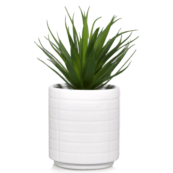 Bouclair White Ceramic Potted Tropical Plant