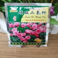 thumbnail image 3 of Flmtop 2 Bags 40g Flower Vegetable Planting Potassium Dihydrogen Phosphate Fertilizer, 3 of 9