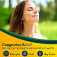 thumbnail image 3 of Benzedrex Nasal Decongestant Inhaler, Medicated Nasal Vapor Inhaler, 1 Count (pack of 18), 3 of 7