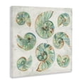 thumbnail image 2 of Stupell Industries Rustic Lodge Organic Saltwashed Shells Canvas Art, 30 x 30, by June Erica Vess, 2 of 8