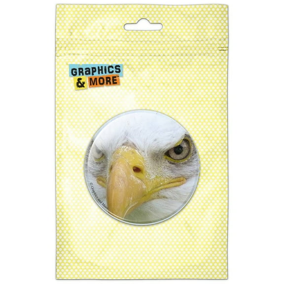 Bald Eagle Staring Raptor Bird of Prey Pinback Button Pin Badge