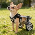thumbnail image 4 of Walking Dog Cart For Disabled Pet Adjustable Dog Two Wheel Wheelchair Lightweight Mobility Aid Pet Support, 4 of 11
