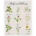 thumbnail image 2 of Swatland, Sally 26x32 White Modern Wood Framed Museum Art Print Titled - Herbs and Flowers, 2 of 4
