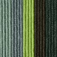 thumbnail image 4 of Spinrite 291101-01015 Fil Caron X Pantone, Forêt d'Été, 4 of 4