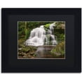thumbnail image 1 of Trademark Fine Art 'Elakala Falls' Canvas Art by Michael Blanchette Photography, Black Matte, Black Frame, 1 of 1