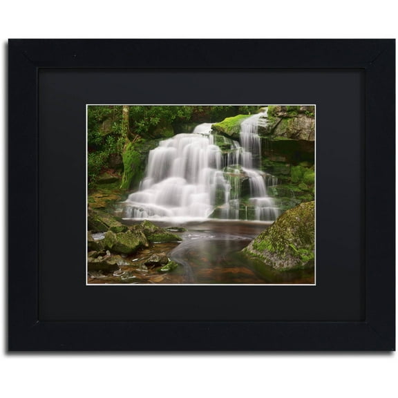 Trademark Fine Art 'Elakala Falls' Canvas Art by Michael Blanchette Photography, Black Matte, Black Frame
