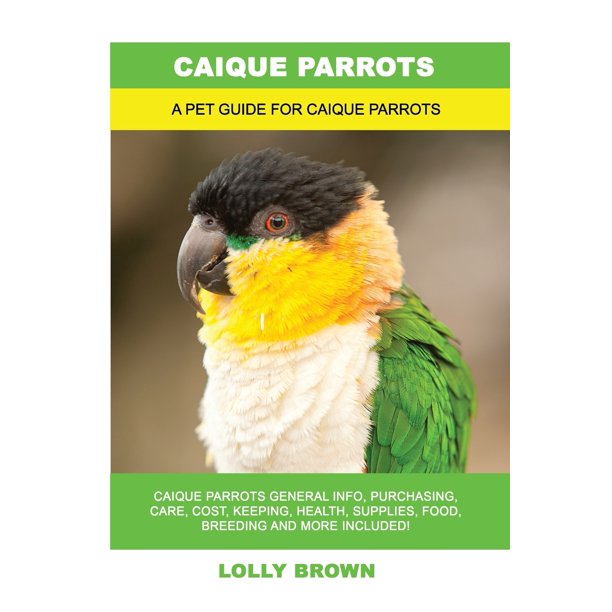 Caique Parrots Caique Parrots General Info, Purchasing, Care, Cost