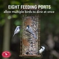 thumbnail image 5 of Perky-Pet 114B Squirrel Stumper Bird Feeder, Copper, 5 of 7