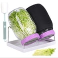 thumbnail image 3 of lanema Mason Jar Sprouting Set with Drip Tray&Light Blocking Cover for Healthy Seedling, 3 of 8