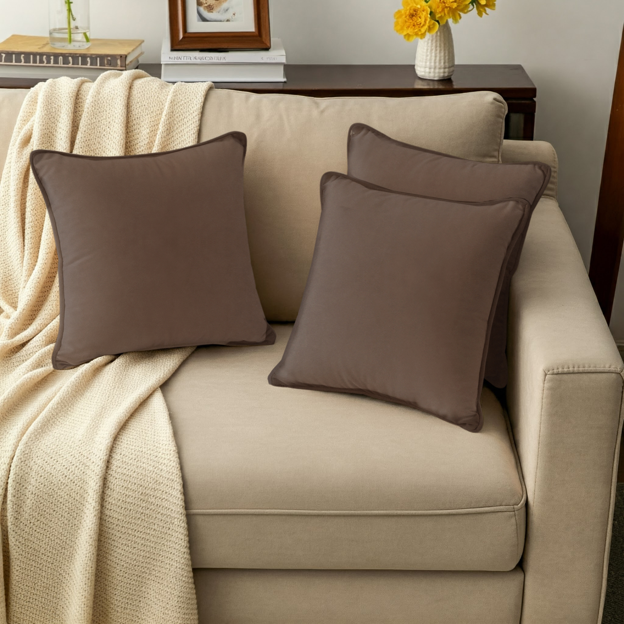 A1HC Set of 2 Luxurious Soft Velvet Throw Pillow Covers Only, 20"x20", Dark Brown, Decorative Cushion Covers with Hidden YKK Zipper for Sofa or Bed