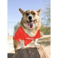 thumbnail image 5 of Pets First NFL Tampa Bay BuccaneersLicensed Mesh Jersey for Dogs and Cats - Extra Extra large, 5 of 6