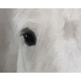 thumbnail image 2 of Straatsma, Leah 18x15 Black Ornate Wood Framed with Double Matting Museum Art Print Titled - Pale Horse, 2 of 4