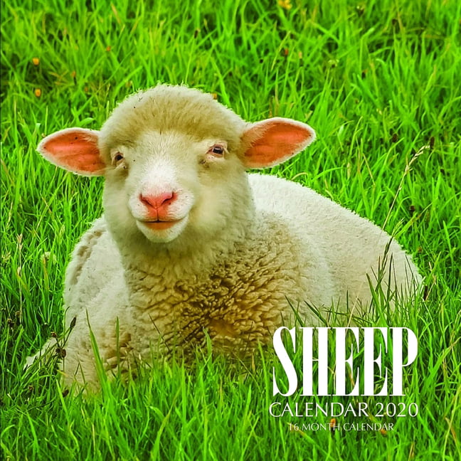 Sheep Calendar 2020