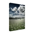 thumbnail image 2 of Ben Heine 'Meadow' Canvas Art, 2 of 3