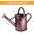 thumbnail image 2 of Metal Watering Can for Outdoor Plants, 1 Gallon Galvanized Steel Watering Can with Removable spout for Outdoor & Indoor Use, Perfect for Garden Flower, Houseplants, Copper, 2 of 6
