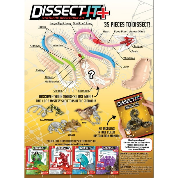 Dissect It Rattlesnake Superlab Dissection Kit for Kids, Realistic