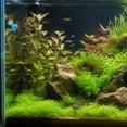 thumbnail image 4 of Moluckfu Difusor De Co2 Para Acuáticas En Acuario Con Finas Color Azul De Aluminio, 4 of 6