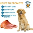 thumbnail image 5 of Pig Ears for Dogs | Quality Pork Dog Chews by 123 Treats | 100% Natural Pork Ears Full of Protein for Your Pet 30 Count Colombia, 5 of 9