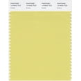 thumbnail image 1 of PANTONE SMART 13-0632X Carte de Couleur, Endive, 1 of 5