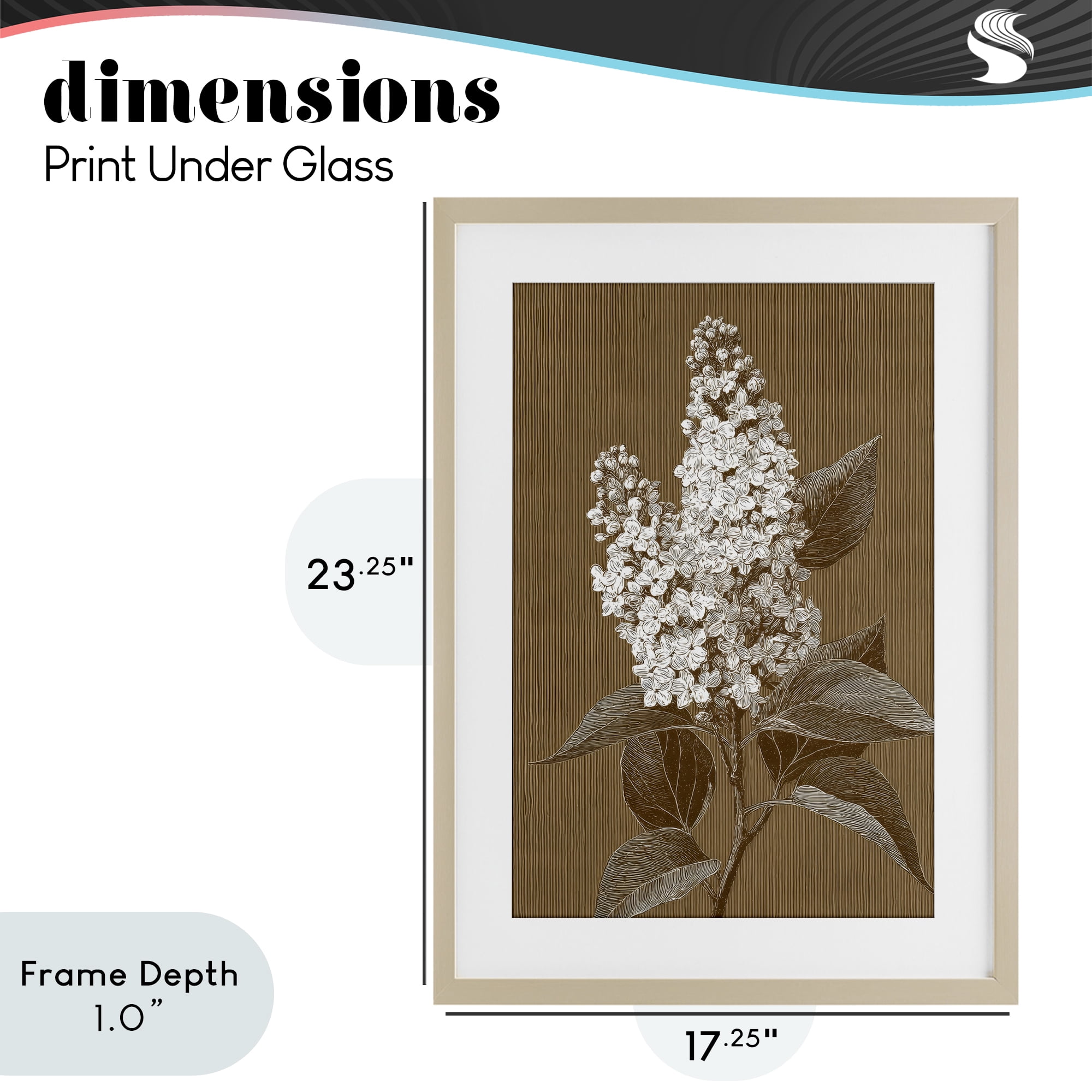 Stupell Industries Vintage Striped Lilac Study Birch Framed Print Under Glass, design by Petal Prints Design