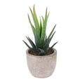 thumbnail image 2 of Travelwant Artificial Succulent Plants, Fake Plants Small Plants in White Ceramic Potted, Mini Decorative Faux Succulents for Window Sills, Bathrooms, Office Spaces, Desk, Bookshelf and More, 2 of 6