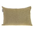 thumbnail image 1 of Parkland Collection PILM21454 Aster Transitional Gold Rectangle Throw Pillow, 1 of 3