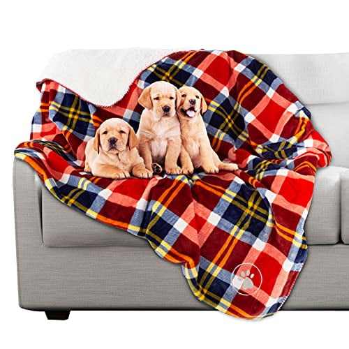 Waterproof Pet Blanket - 50x60 Reversible Plaid Throw Protects Couch, Car, Bed from Spills, Stains, or Fur - Dog and Cat Blankets by Petmaker (Red)