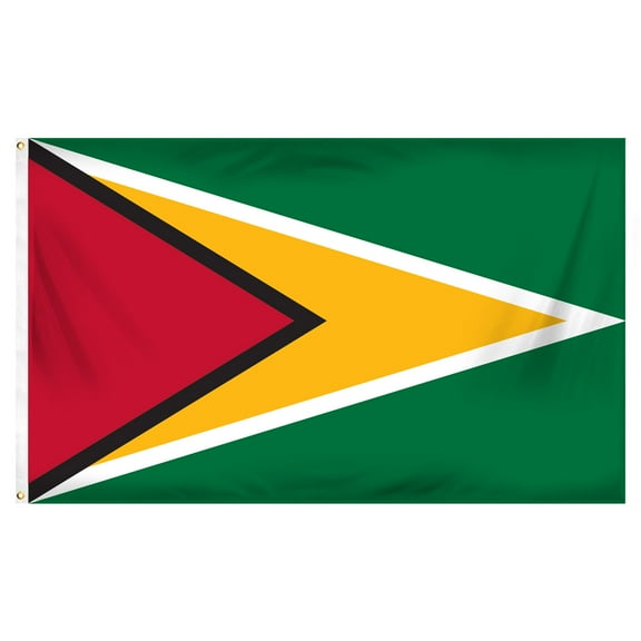 Guyana 3ft x 5ft Printed Polyester