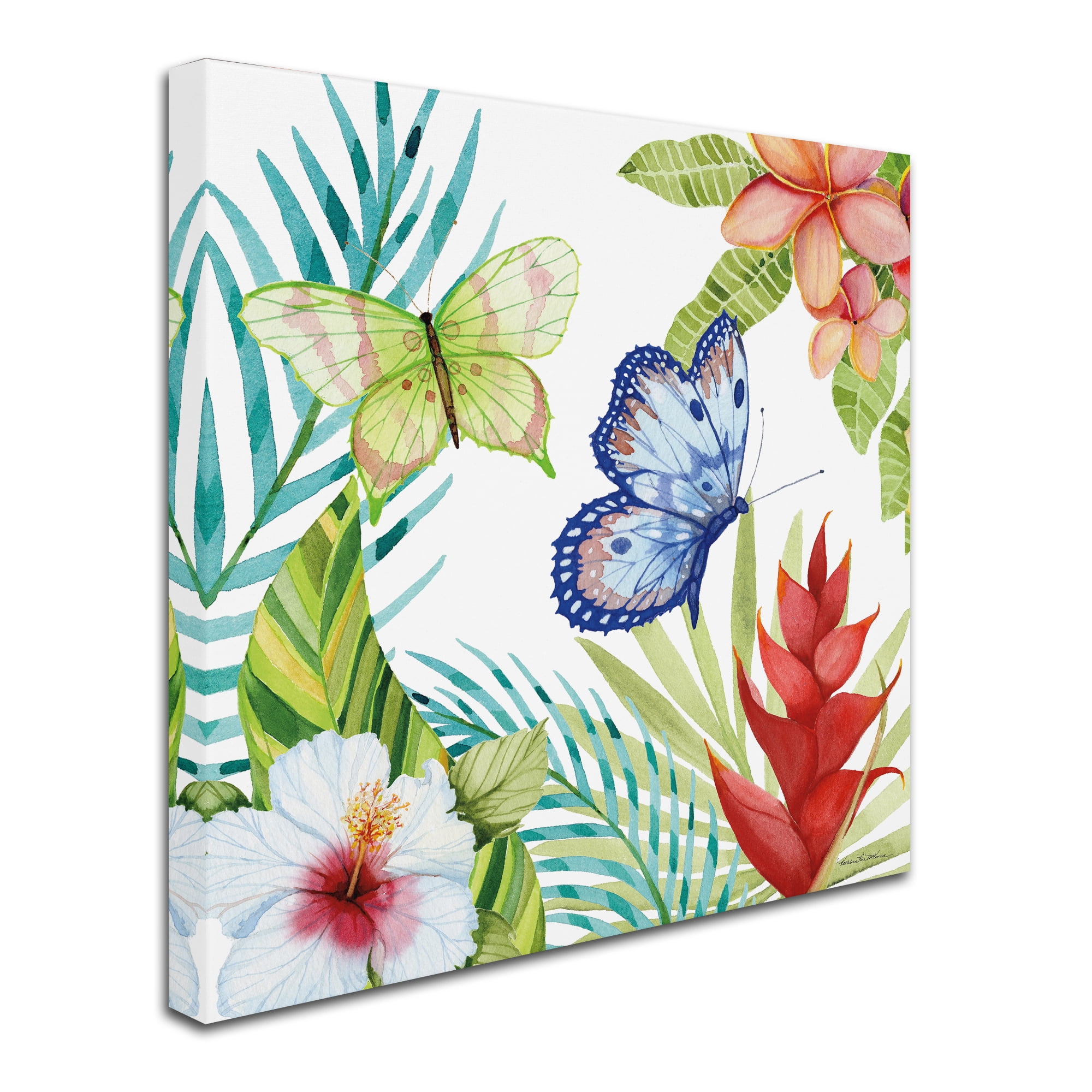 Trademark Fine Art 'Treasures of the Tropics VI' Canvas Art by Kathleen Parr McKenna