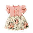 thumbnail image 1 of Vestido Para Niñas, Ropa Para Niñas Pequeñas, Manga Corta, Volantes, Estampado Floral, Vestido De Princesa Rosa Odeerbi  LM103-1128, 1 of 8
