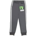thumbnail image 2 of Minecraft Boys 3-Piece Creeper Pants SetT-Shirt, Shorts & Jogger Pants, Sizes 4-12, 2 of 8