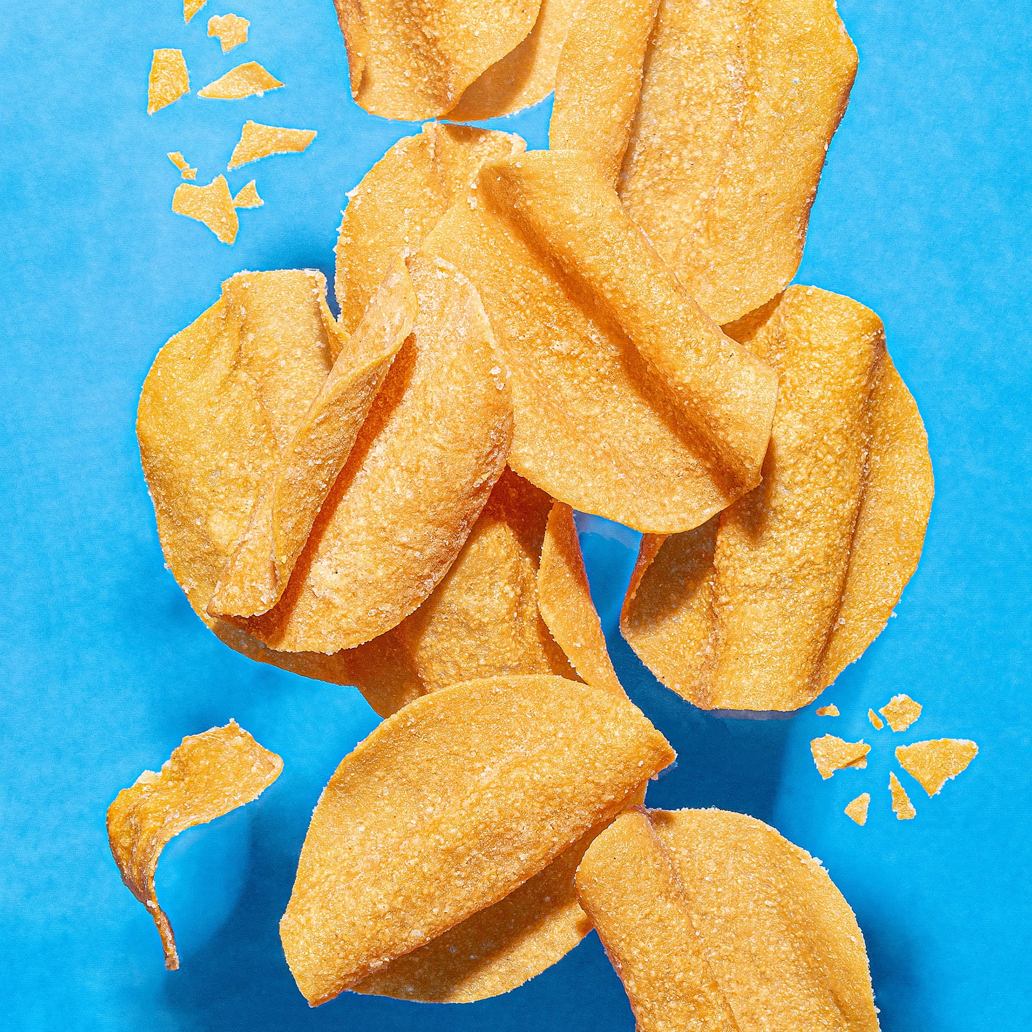 WILDE Protein Chips Sea Salt & Vinegar 8ct (8-1.34oz)