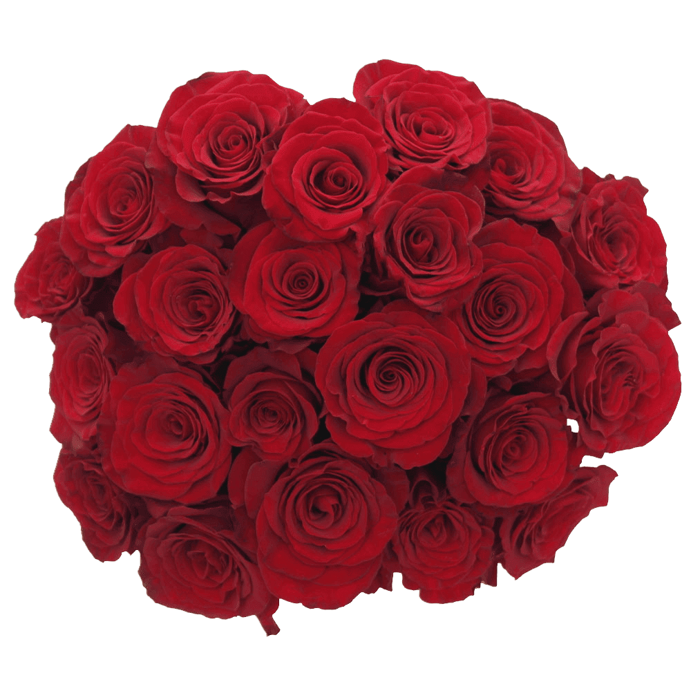 50 Stems Of Hearts Red Roses- Beautiful Fresh Cut Flowers- Express 