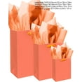 thumbnail image 4 of Pink-Orange Gift Bags with Tissue Paper Mulit Assorted Sizes 10PCS Present Birthday Bags(2pcs Large 13", 4pcs Medium 9", 4pcs Small 6"，22pcs Tissue Paper), 4 of 13