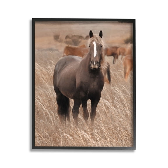 Stupell Industries Hazy Day Horse Animals & Insects Photography Black Framed Art Print Wall Art, 11 x 14