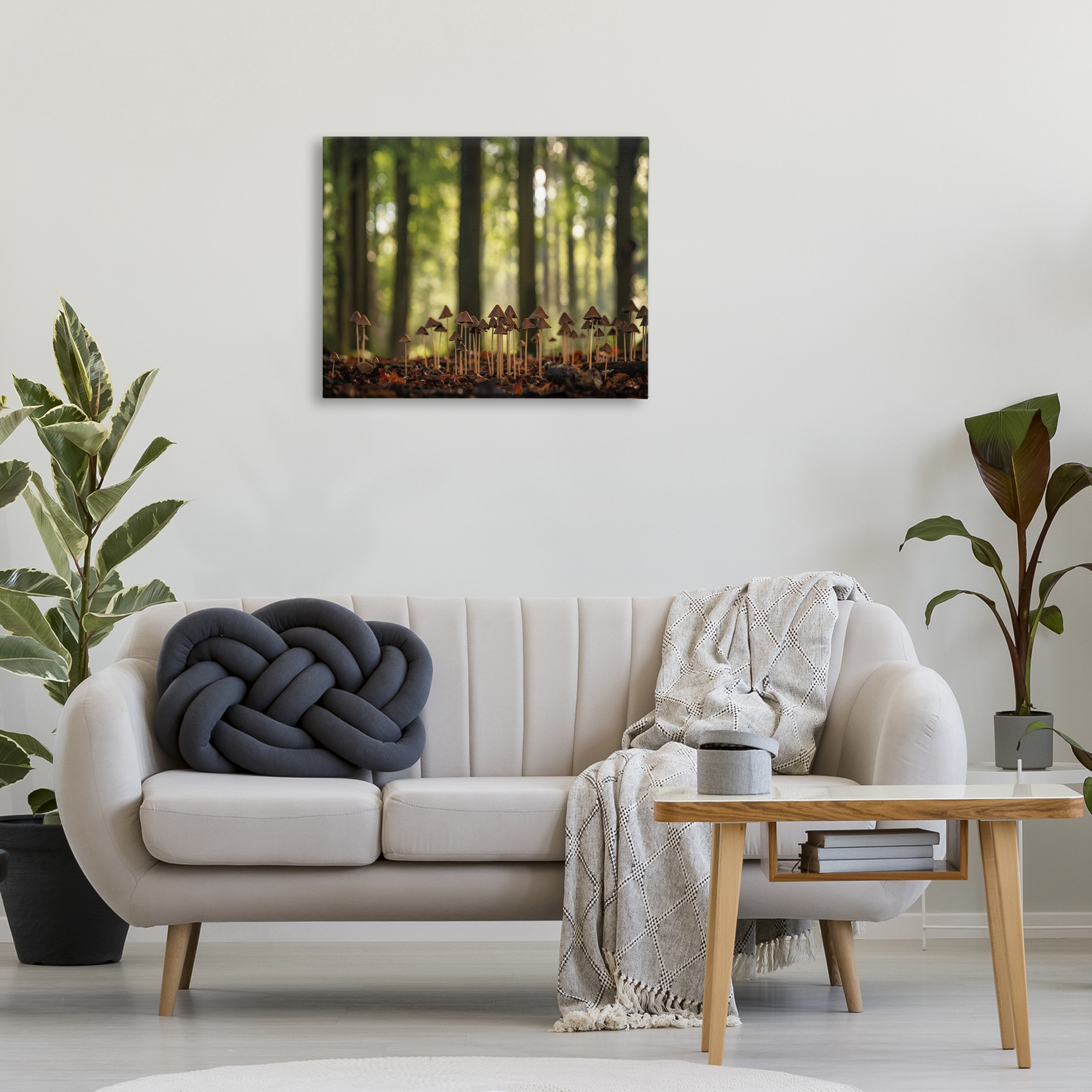 Stupell Industries Mushroom Sprouts in Forest Botanical & Floral Photography Gallery Wrapped Canvas Art Print Wall Art, 30 x 24