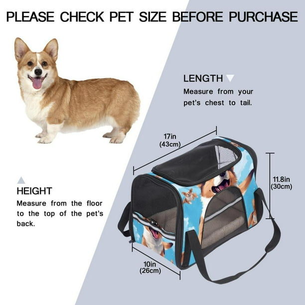 Corgi pet carrier discount