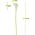 thumbnail image 2 of Artificial Calla Lily 12pcs 20 Inch Long Stem Arum Lily for Home Décor Centerpieces Wedding Bridal DIY Bouquet(White), 2 of 5