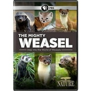 HANNAH WARD; PBS DVD; HANNAH WARD NATURE: The Mighty Weasel (DVD), PBS (Direct), Documentary