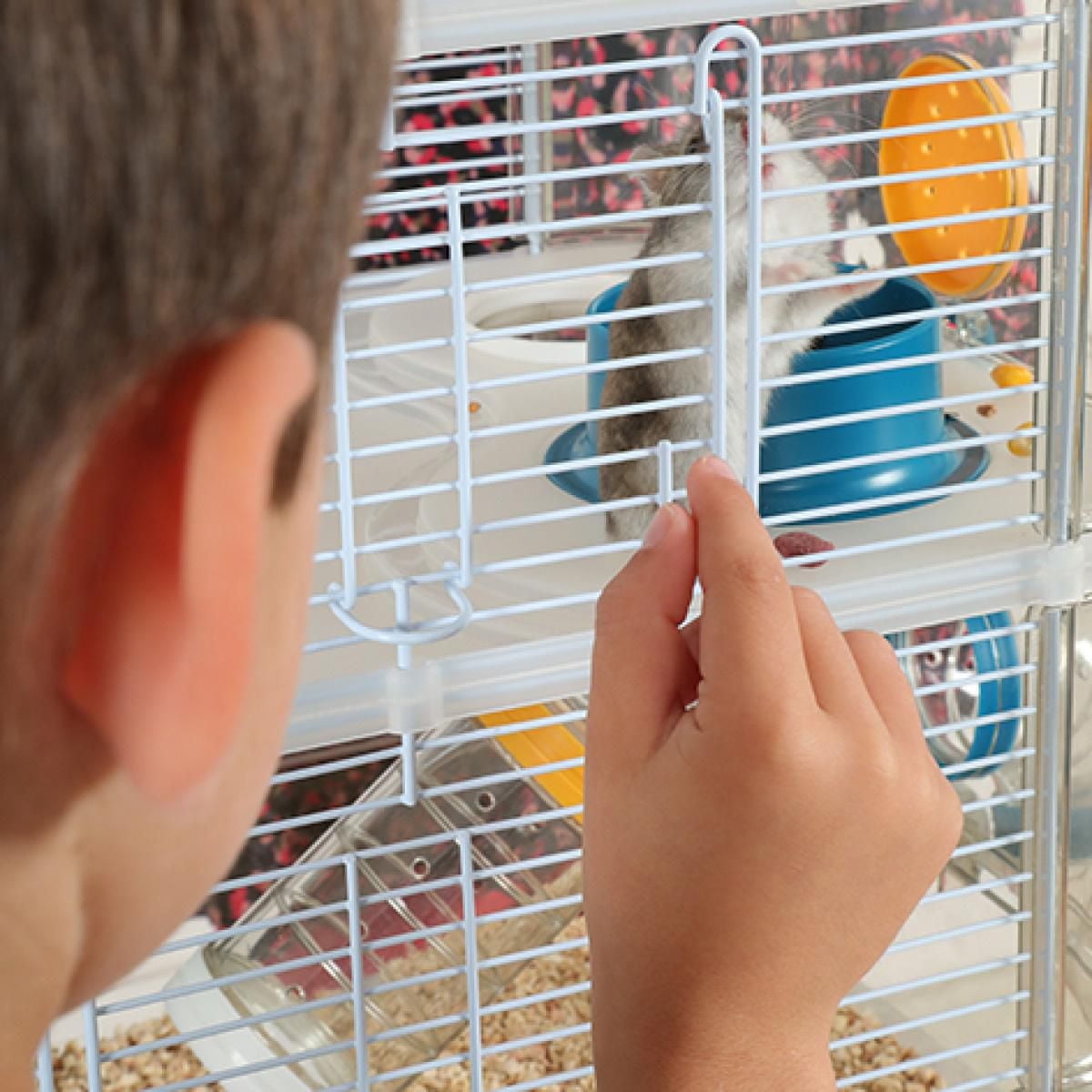 Rody3 Duo Hamster Cage - 2-story - Grenadine - 41 x 27 x 40.5 cm