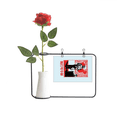 thumbnail image 1 of China Red Education Promotion Map Artificial Rose Flower Hanging Vases Decoration Bottle, 1 of 3